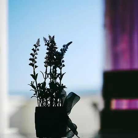 In With Terrace, Air Conditioning, Wifi, Washing Machine 4215-1 شقة *